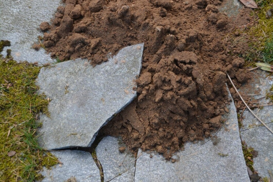 soil-stabilization-winter-garden-fl-06